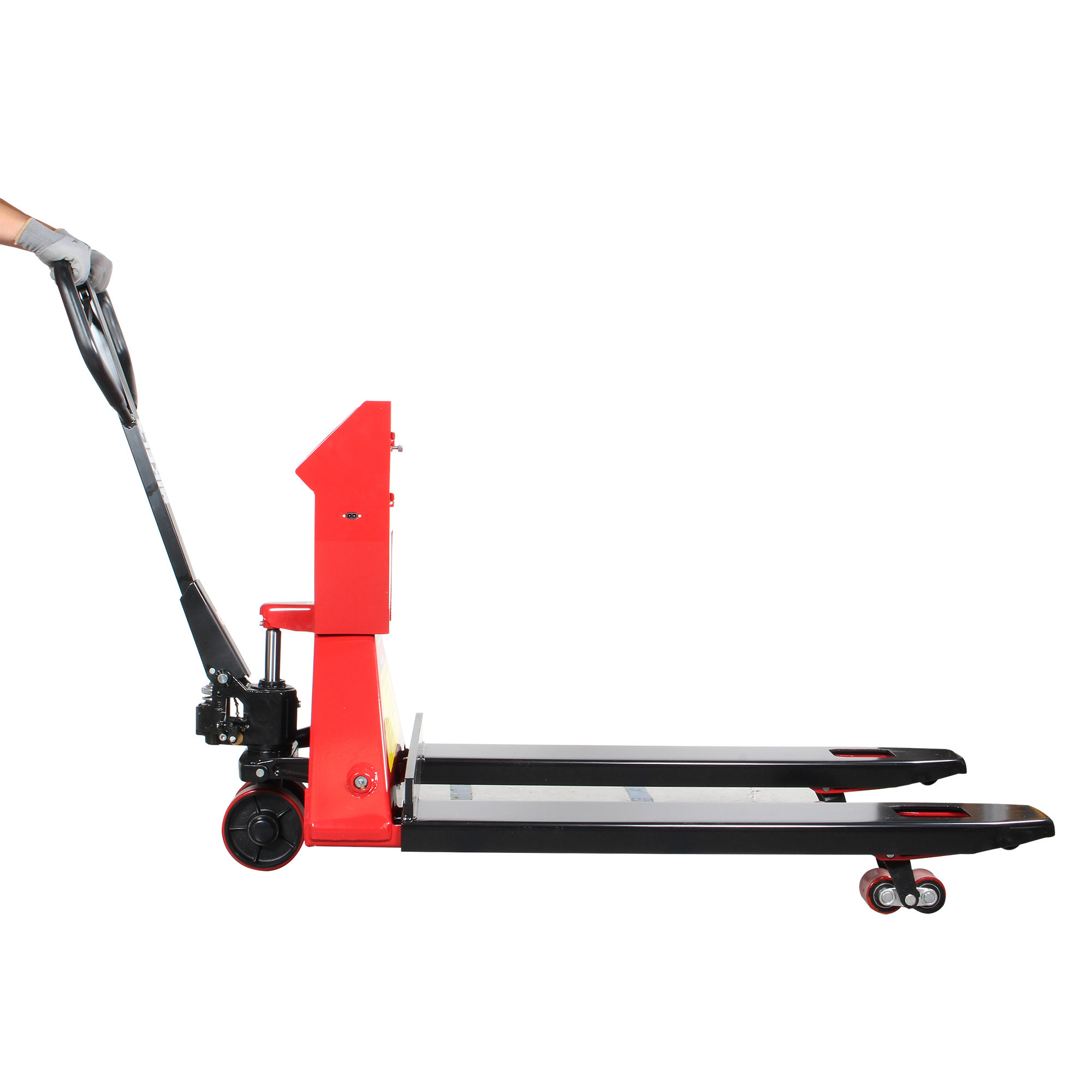Miniatura 7