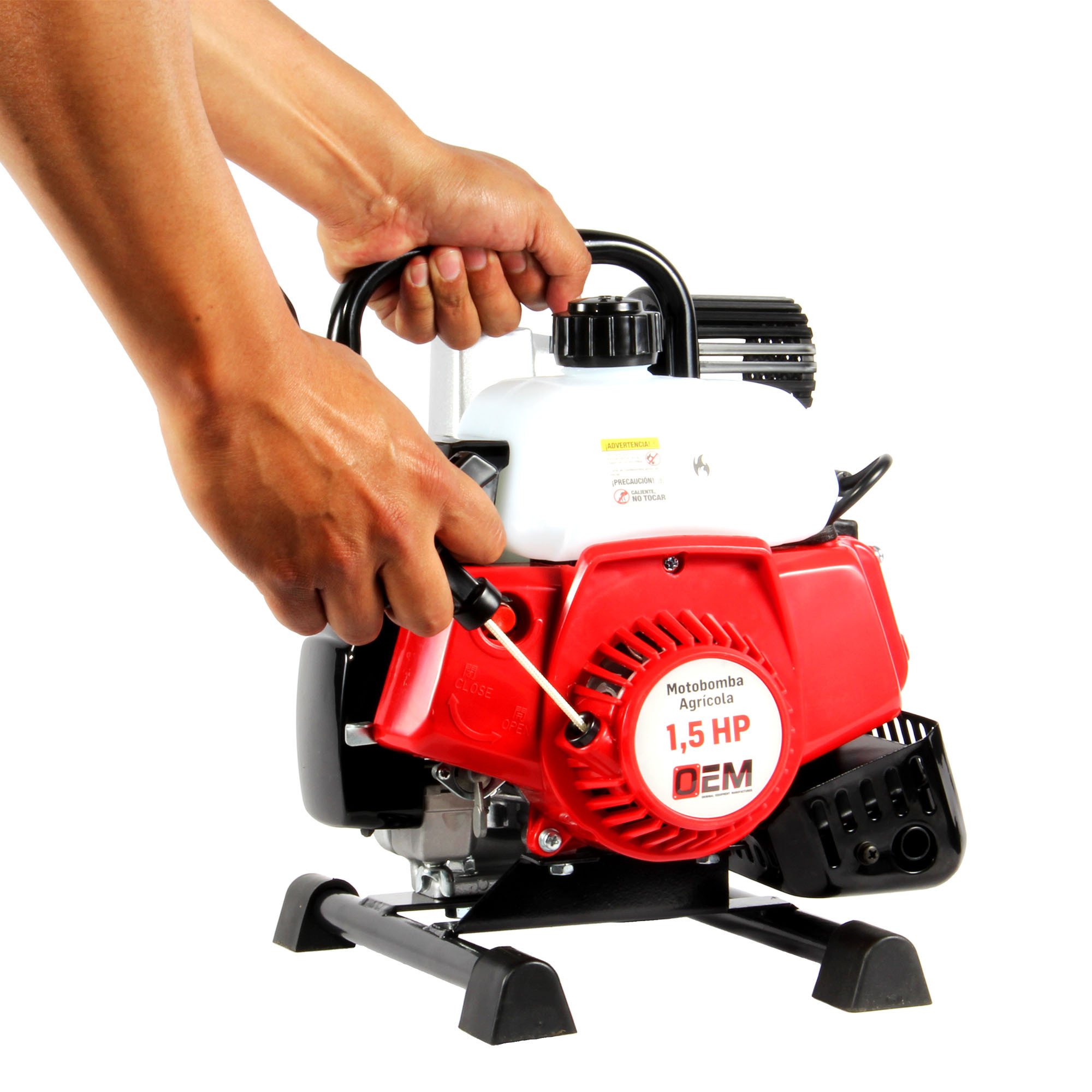 Miniatura